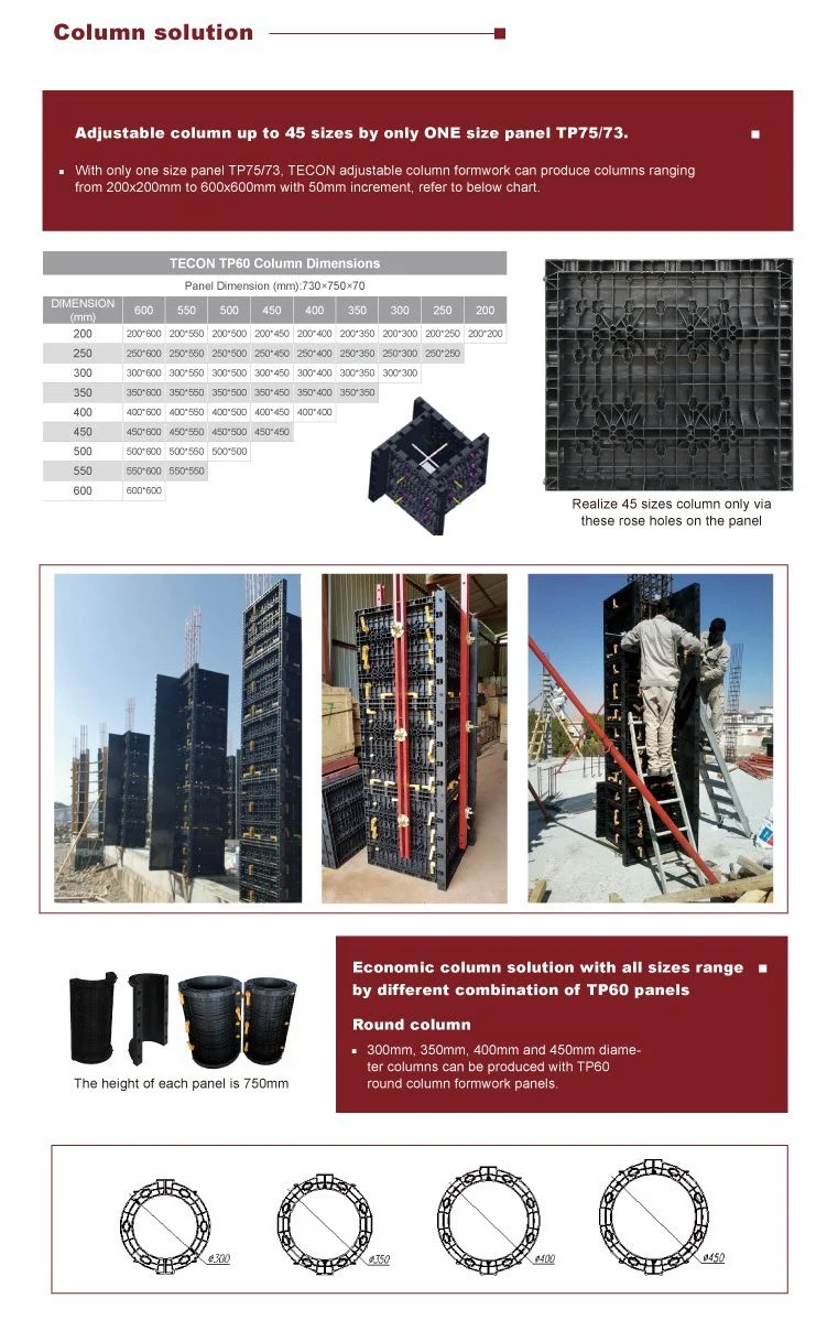 Tecon Reusable Plastic Wall and Column Formwork for House